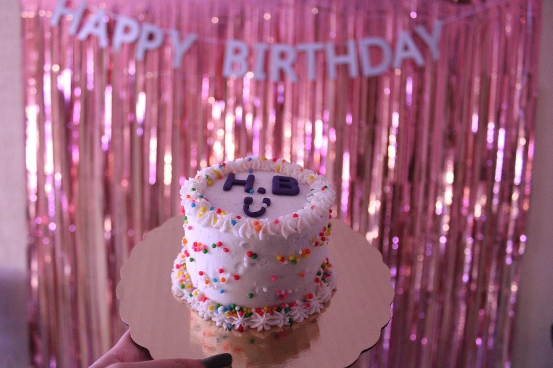 Photo of a cute pink birthday cake being held in front of a shiny, metallic pink fringe background