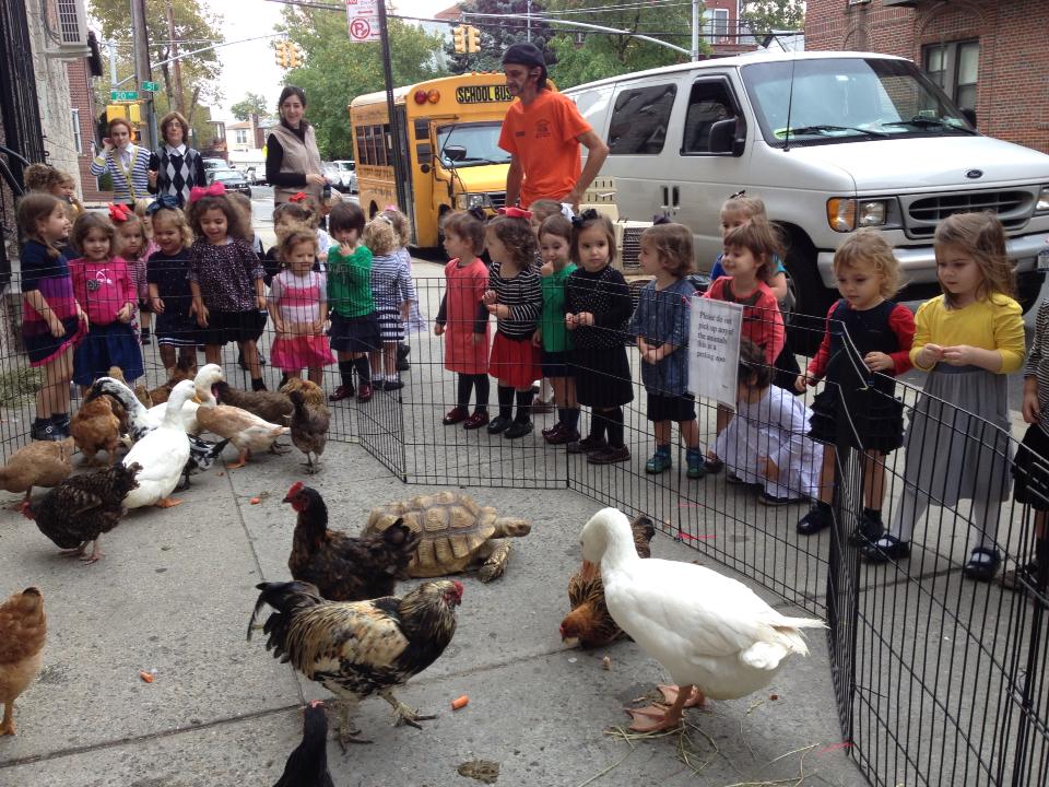 Petting Zoo Parties Westchester NY