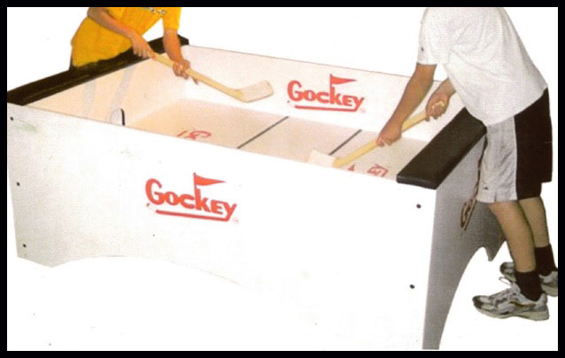 Gockey Game Rental in Long Island
